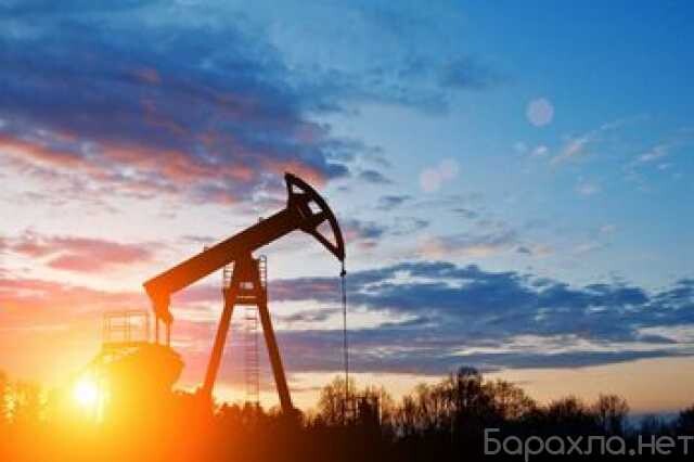 repetitor-angliiskogo-iazyka-v-riazani-predlozenie-uslugi-v-obieiavlenii-u25910890-na-baraxlanet-big-5