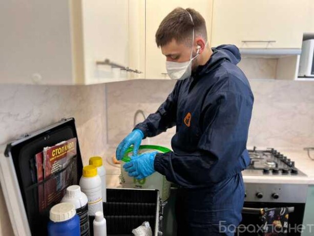 snos-domov-spil-derevev-rascistka-uca-v-rostovenadonu-predlozenie-uslugi-v-obieiavlenii-u25779193-na-baraxlanet-big-3