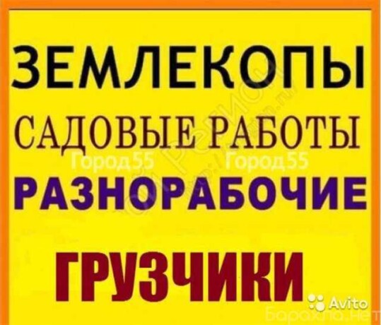 uborka-snega-gruzciki-raznorabocie-v-ceboksarax-predlozenie-uslugi-v-obieiavlenii-u27300394-na-baraxlanet-big-3