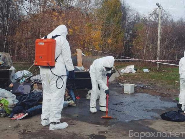 kliningovaia-kompaniia-cleanline30-v-astraxani-predlozenie-uslugi-v-obieiavlenii-u27242017-na-baraxlanet-big-0