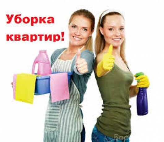 uborka-kvartir-v-irkutske-predlozenie-uslugi-v-obieiavlenii-u27192040-na-baraxlanet-big-2