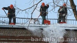 uborka-vyvoz-utilizaciia-musora-v-soci-predlozenie-uslugi-v-obieiavlenii-u4457488-1548562-na-baraxlanet-big-3