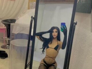 rochesxxx-shemale-escort-in-fayetteville-ar