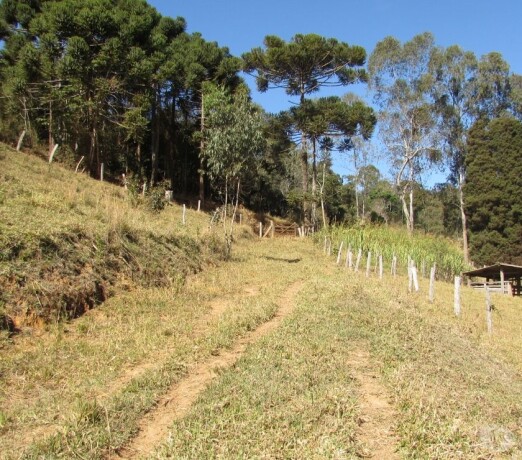 chacara-priveligiada-perto-do-polopetroquimico-outros-bairros-rio-de-janeiro-rj-chacaras-e-sitios-a-venda-big-3