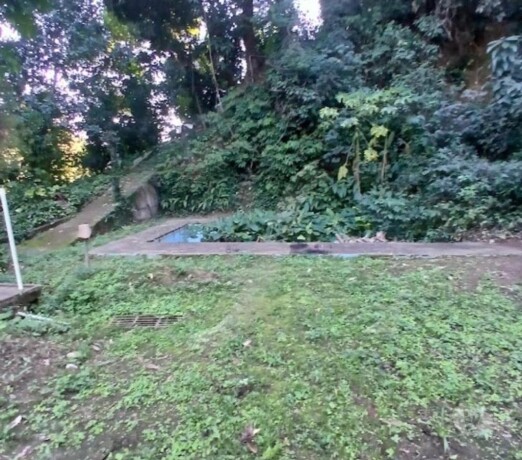 sitio-taquara-jacarepagua-15000m2-jacarepagua-chacaras-e-sitios-a-venda-big-0