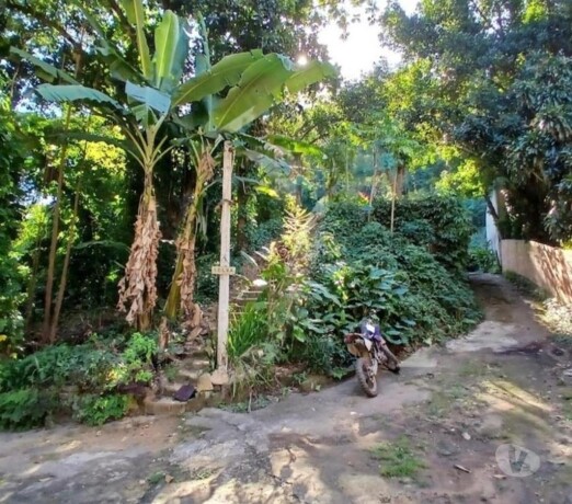sitio-taquara-jacarepagua-15000m2-jacarepagua-chacaras-e-sitios-a-venda-big-1